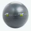 Gaiam Restore Self-Guided Stability Ball