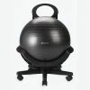 Gaiam Ultimate Balance Ball Chair