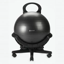 Gaiam Ultimate Balance Ball Chair