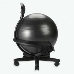 Gaiam Ultimate Balance Ball Chair