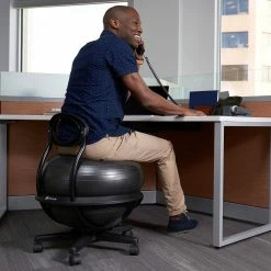 Gaiam Ultimate Balance Ball Chair
