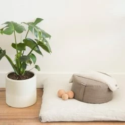 Halfmoon Sit Set: Mod Meditation Cushion + Zabuton