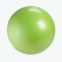 Gaiam Home Gym Essentials Restore Strong Back Stability Ball Kit (65cm)